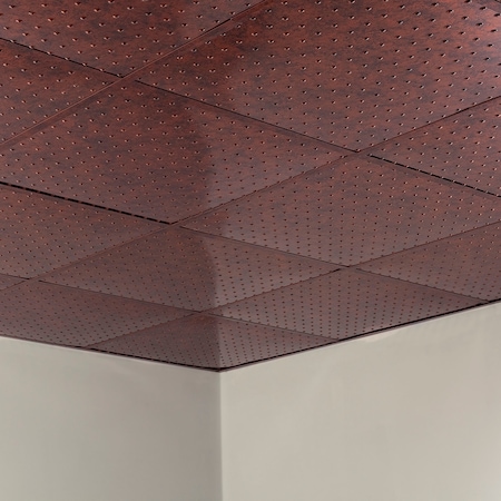 Fasade Minidome 2Ftx2Ft Lay In Ceiling Til, PK 5, 5 PK PL7218