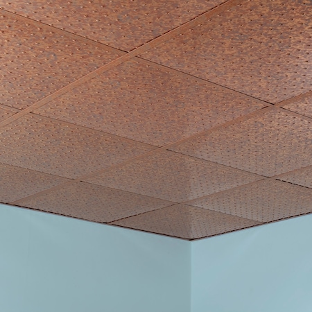 Fasade Minidome 2Ftx2Ft Lay In Ceiling Til, PK 5, 5 PK PL7219