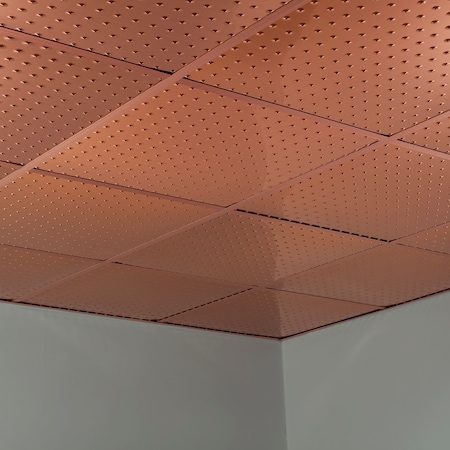 Fasade Minidome 2Ftx2Ft Lay In Ceiling Til, PK 5, 5 PK PL7225