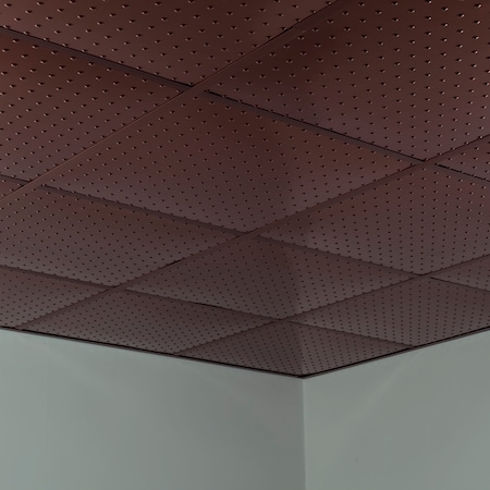 Fasade Minidome 2Ftx2Ft Lay In Ceiling Til, PK 5, 5 PK PL7226