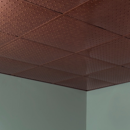 Fasade Minidome 2Ftx2Ft Lay In Ceiling Til, PK 5, 5 PK PL7231