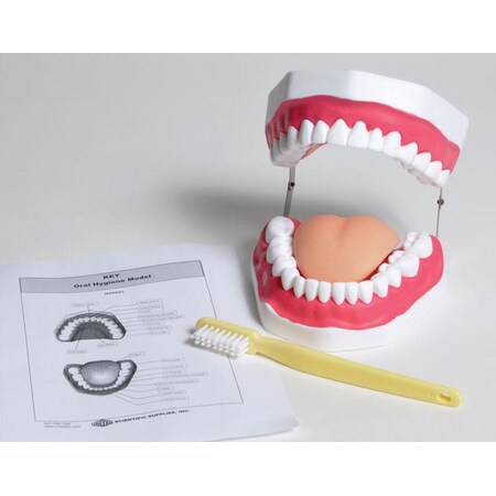 United Scientific Oral Hygiene Model MAOH01