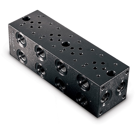 Enerpac Manifold MB2