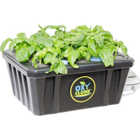 Oxyclone PRO Series 20 Site Cloning Syst OX20SYS