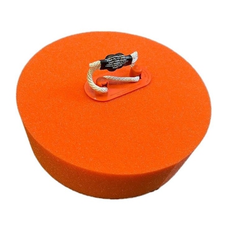 Safe-T-Sponge FME Sponge, 9", PK10 PL9