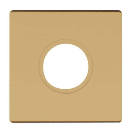 Baldwin Single Privacy Rosettes Vintage Brass R017.033.IPV