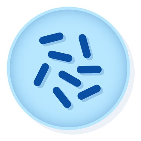 Microbiologics Pseudomonas Putida Atcc 49128 0627P