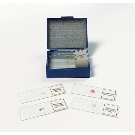 United Scientific Biology Prepared Slide Set Of 14 SLD014