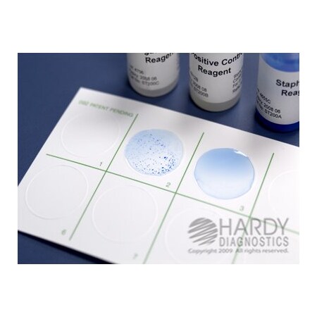 Hardy Diagnostics Staph Tex Blue HDx, 50 Tests ST50