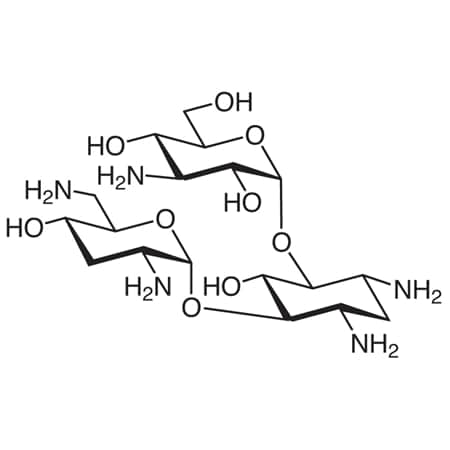 Tci CAS No 32986-56-4 T2503-25G