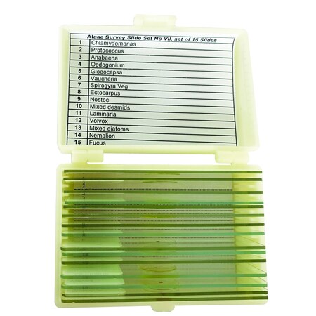 United Scientific Algae Survey Slide Set of 15 UNSLALGE15