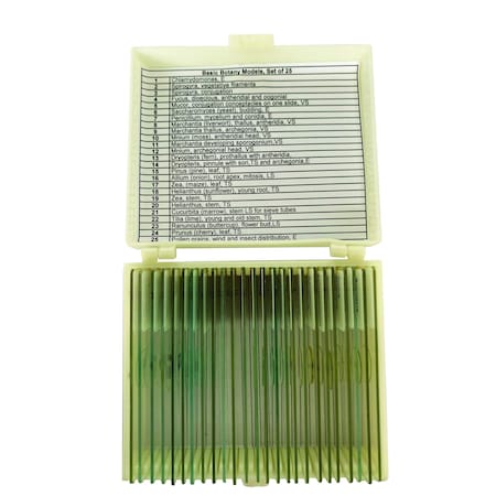 United Scientific Basic Botany Models Slide Set of 25 UNSLBOT25