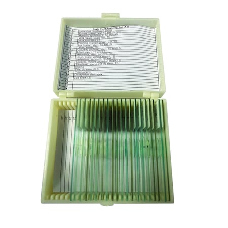 United Scientific Basic Plant Anatomy Slide Set of 20 UNSLPLNT20