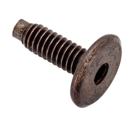 Ampg 1/4"-20 x 20 mm Hex Low Profile Machine Screw, Bronze Plated Steel Z4478-BZ