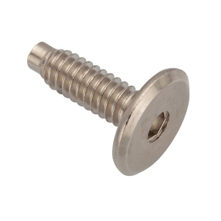 Ampg 1/4"-20 x 20 mm Hex Low Profile Machine Screw, Nickel Plated Steel Z4478-NI