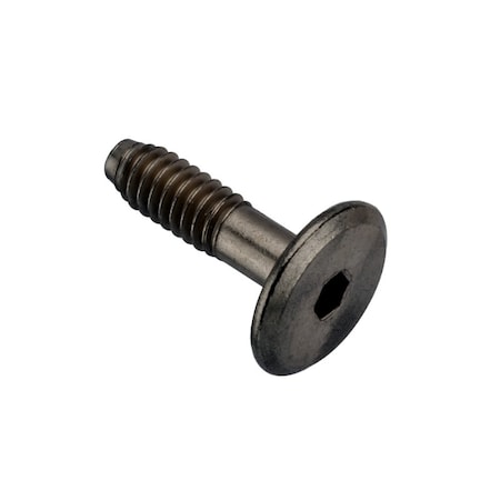 Ampg 1/4"-20 x 23 mm Hex Low Profile Machine Screw, Black Oxide Steel Z4479-BX
