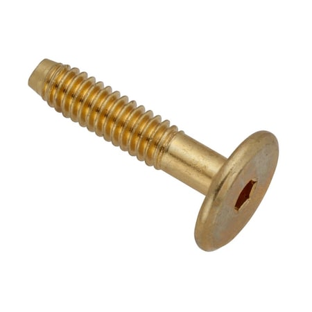 Ampg 1/4"-20 x 30 mm Hex Low Profile Machine Screw, Brass Plated Steel Z4481-BR
