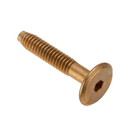 Ampg 1/4"-20 x 35 mm Hex Low Profile Machine Screw, Brass Plated Steel Z4482-BR