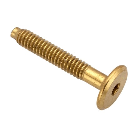 Ampg Conn Bolt, 1/4-20X40mm, Steel Brass Z4483-BR