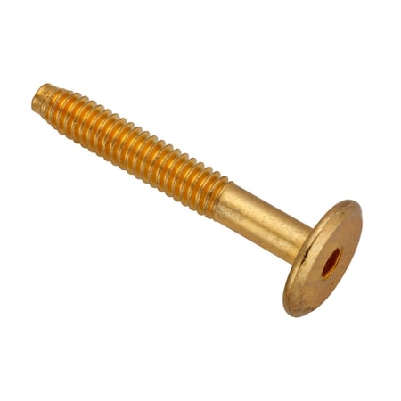 Ampg 1/4"-20 x 45 mm Hex Low Profile Machine Screw, Brass Plated Steel Z4484-BR