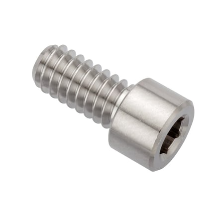 Ampg 1/4"-20 Socket Head Cap Screw, 1/2 in L ZS74414C08