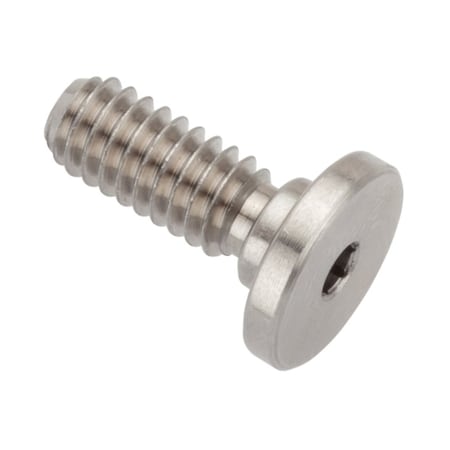 Ampg #8-32 Socket Head Cap Screw, Flat, Plain Stainless Steel, 3/8 in Length ZUL60208C06