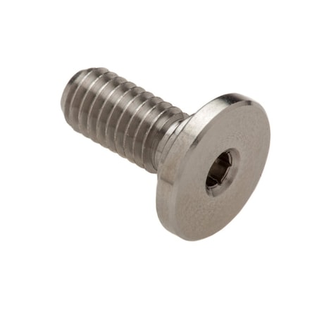 Ampg #10-32 Socket Head Cap Screw, Flat, Plain Stainless Steel, 3/8 in Length ZUL60210F06