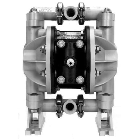 Aro Non-Metallic Diaphragm Pump, 1/2", 666056- 666056-6EB