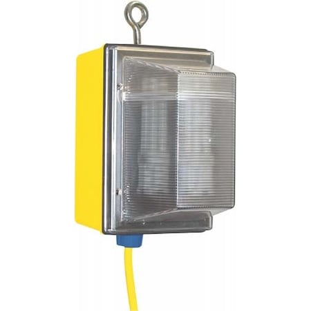 Ericson LAMP w/50FT 16/3 SOOW AND EMER BAT 1000F-EMBT-50