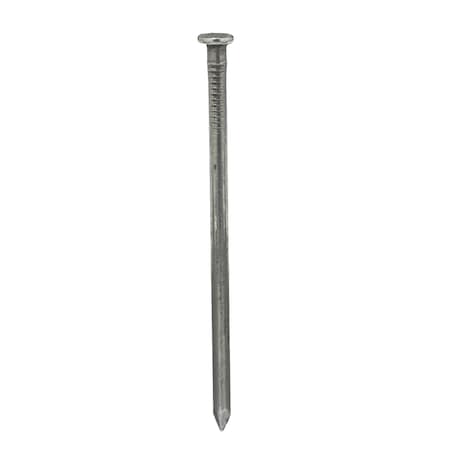 ZORO SELECT Common Nail, 3-1/2 in L, 16D, Steel, Bright Finish, 8 ga, 1320 PK 4NEP9