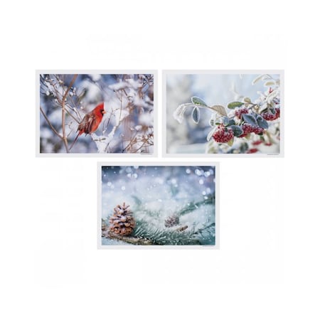 Hoffmaster 10" x 14" Winter Multipack Paper Placemats, PK1000 702079