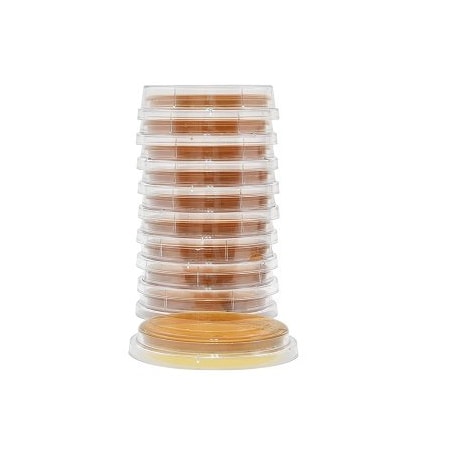 Hardy Diagnostics Malt Extract Agar, Lecithin and Twe, PK 10 P93