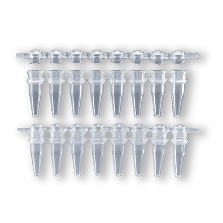 Brandtech PCR Tube and Flat Cap Strips, Col, PK 250 781326