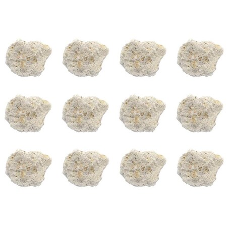 EISCO Volcanic Tuff Specimen (Igneous Rock), Approx. 1" (3cm) - Pack of 12