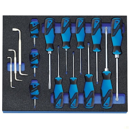 Gedore Screwdriver Set In Ct Module 15Pc 2016311