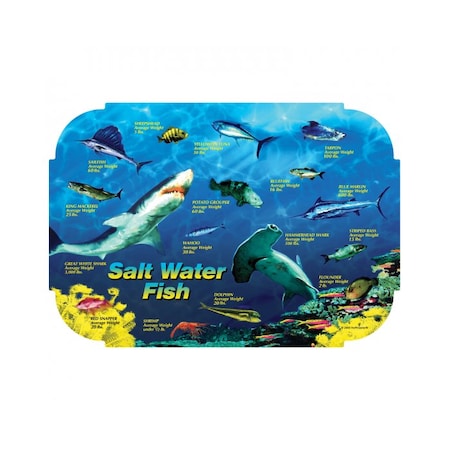 Hoffmaster 10" x 14" Salt Water Fish II Paper Placemats, PK1000 310981