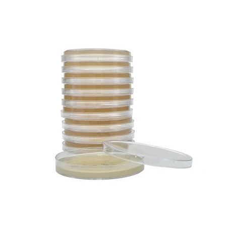Hardy Diagnostics Middlebrook 7H11 Deep Fill 15X100mm Pl W35