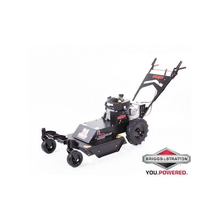 Swisher 11.5HP 24 in. Briggs & Stratton Walk Behind Rough Cut Mower with Casters WRC11524BSC