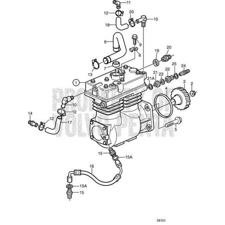 Volvo Penta NippleV2 968696 | Zoro