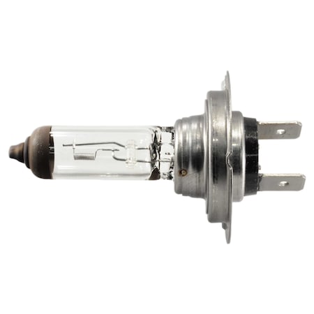 H7 Halogen Headlight Bulbs 2PK