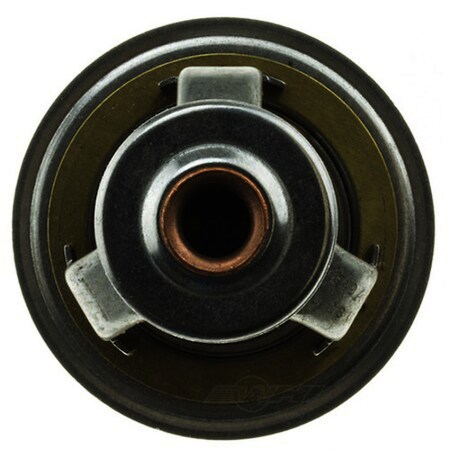 Motorad Fail-Safe Coolant Thermostat, 7281-170 7281-170