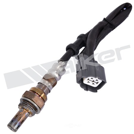 Walker Oxygen Sensor, 250-24343 250-24343