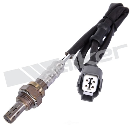 Walker Oxygen Sensor, 250-24429 250-24429
