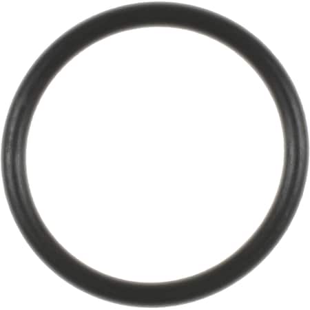 Mahle Engine Coolant Water Inlet Gasket, C31699 C31699