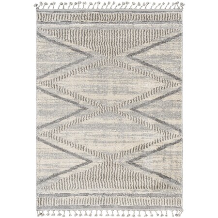 Livabliss Sousse SUS-2300 Area Rug , With Fringe SUS2300-4257 | Zoro