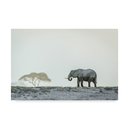 Trademark Fine Art Jeffrey C. Sink 'Monochromatic Color' Canvas Art 