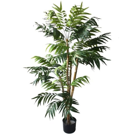 potted aquarium plants Potted Golden lloydiella Golden Jenny  Glass Grown Aquatics