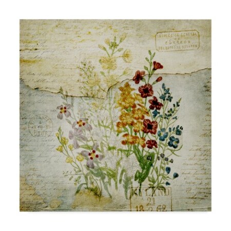 Trademark Fine Art Marcee Duggar 'Flower Print Grunge 1' Canvas Art ...