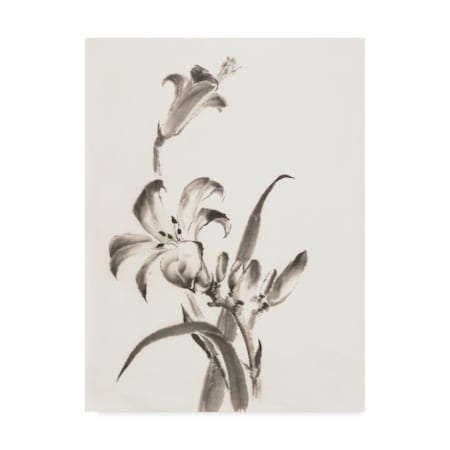 Lily on Black V Canvas Artwork 24 x 24 Global Gallery Chris Paschke Lily on Black V Canvas Artwork 24 x 24 Global Gallery Chris Paschke