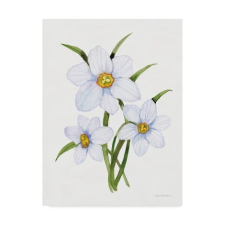 Trademark Fine Art Kathleen Parr Mckenna 'Easter Blessing Flowers I ...
